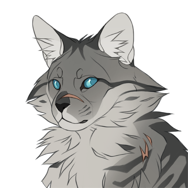 Felidaze s creator. Picrew коты Воители. Warrior Cats picrew. Picrew me коты Воители. Мейкер коты Воители picrew.