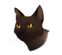 cedarpaw Avatar