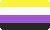Nonbinary pride flag 