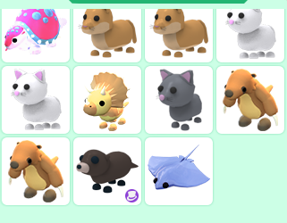 Adopt me pets for robux on Toyhouse