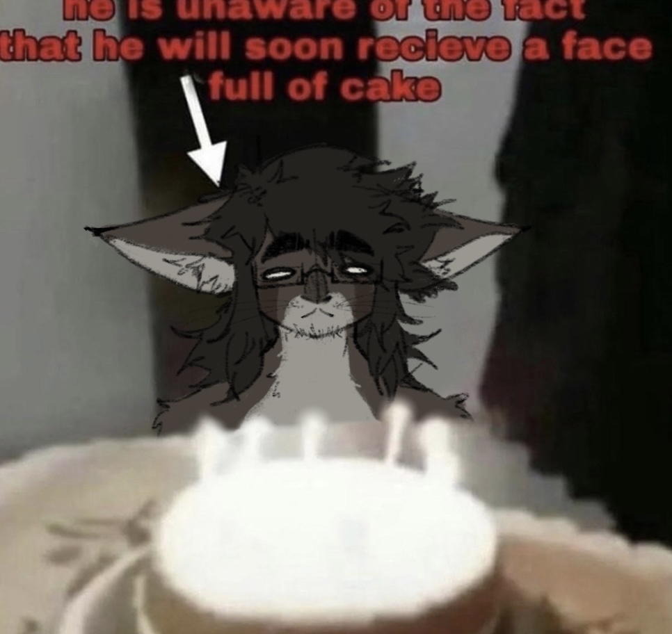 A drawing of a cat with brown and cream fur and black long hair infront of a cake with text that says:  he is unaware of the fact that he will soon receive a face full of cake