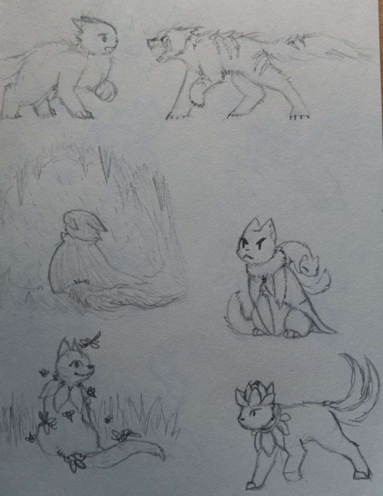 A set of sketches of the not-cats Noisette, Kirdir, Elexia, Honeybee, and Rose.