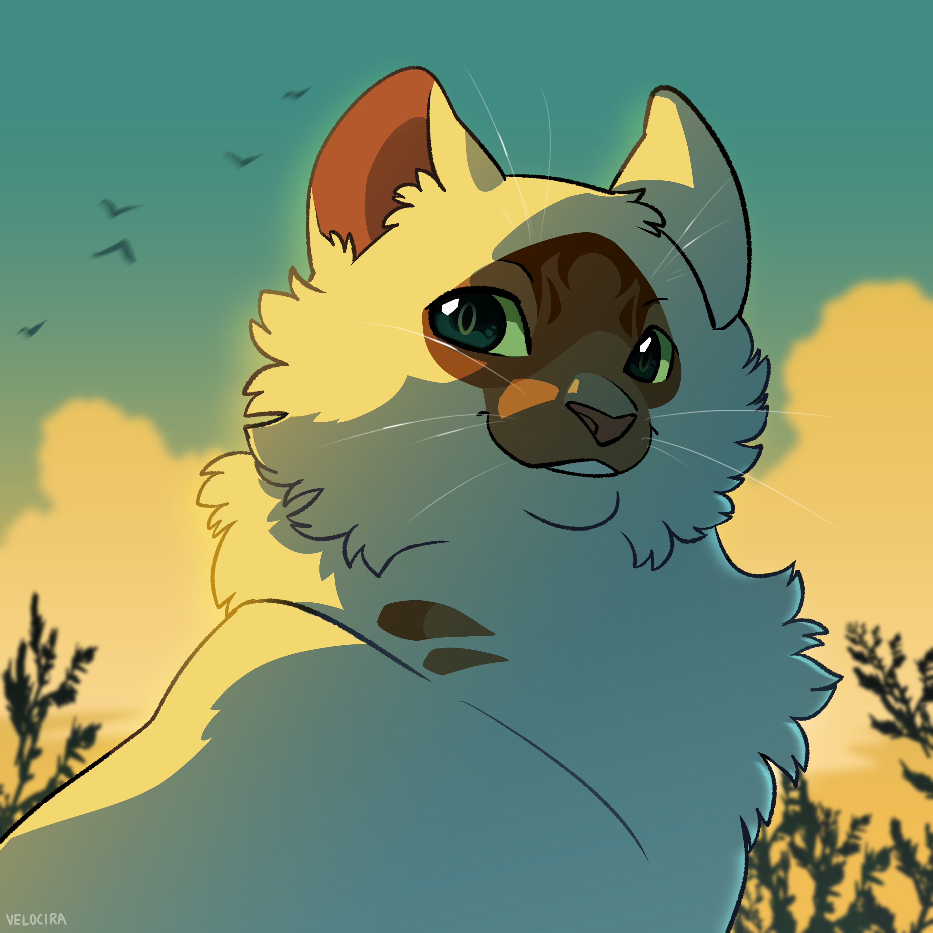 Firestar design - Warriors Cats by AngelDalet on DeviantArt