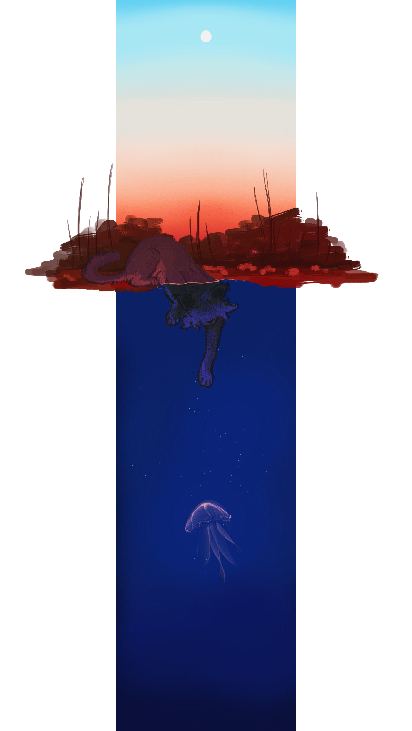 Meduza Pływająca w Rozgwieżdżonym Jeziorze 77185680_0VTQcKvmRPauG0z
