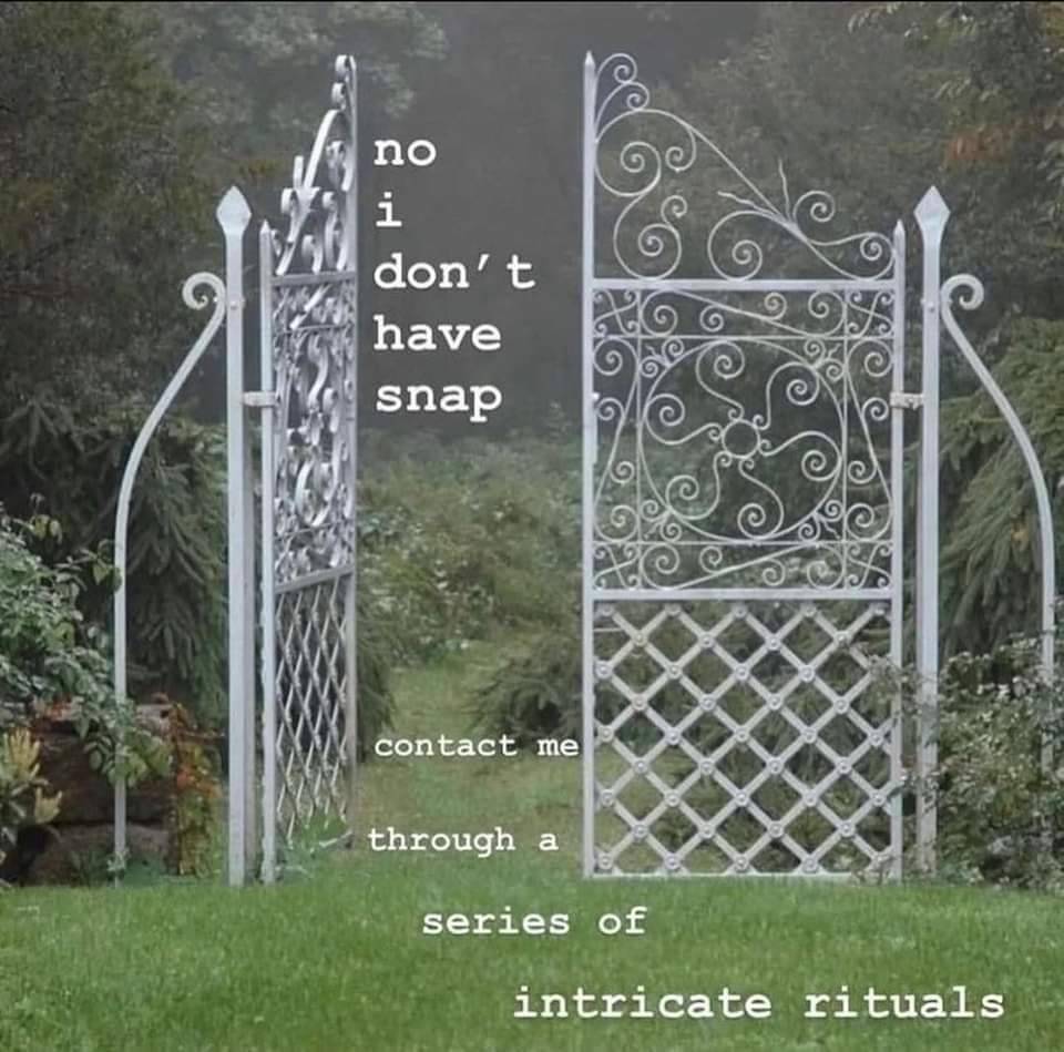Photo of a half-open iron gate in a misty garden, text reads.: 'no i don't have snap, contact me through a series of intricate rituals'.