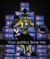 your politics bore me