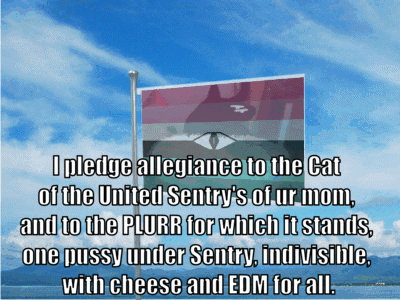 I pledge allegiance to the Cat of the United Sentry's of ur mom, and to the PLURR for which it stands, one pussy under Sentry, indivisible, with cheese and EDM for all.