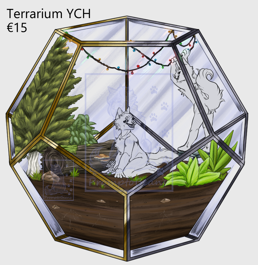 Terrarium YCH